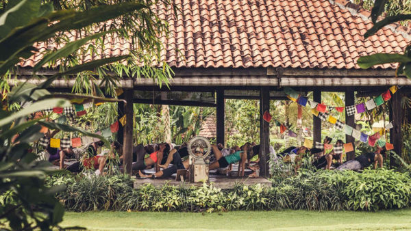 Desa Seni Yoga Resort - Fitness Holidays in Bali - Fitness Holidays for Travelling Athletes (2)