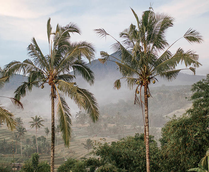 Fitness Holidays in Bali