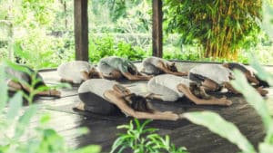 Fitness Holidays in Bali - S2S CrossFit Bali - Fitness Holidays For Travelling Athletes (2)