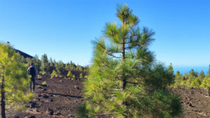 Hiking Pico del Teide - Fitness Holiday in Spain - Fitness Holiday in Tenerife - Travelling Athletes