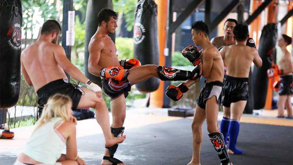 You - Tiger Muay Thai & MMA Training Camp, Phuket, Thailand